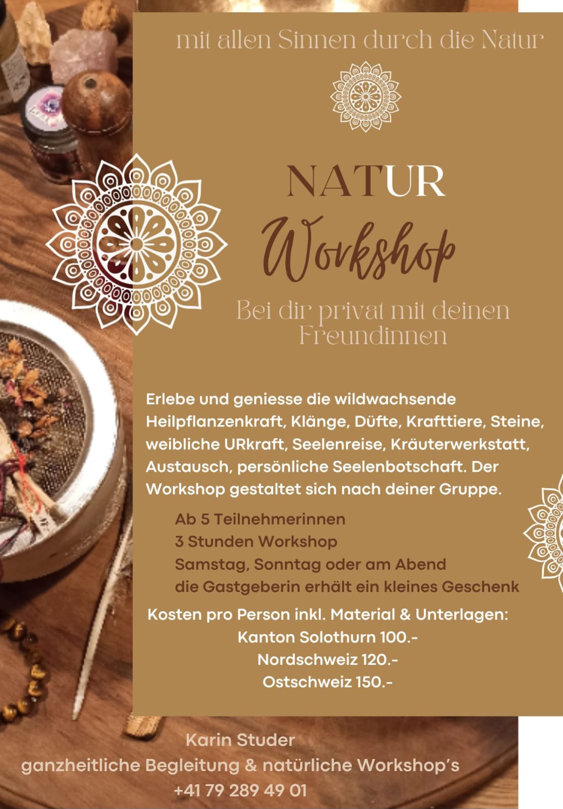 Workshop 4